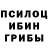Галлюциногенные грибы Magic Shrooms Fagan Guliev