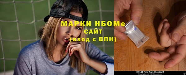 хмурый Верея