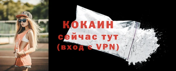 таблы Богородск