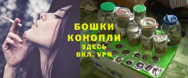 хмурый Верея